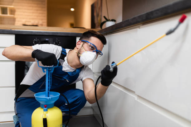 Best Wasp Removal Services  in New Brunswick, NJ