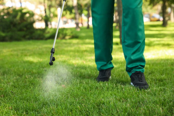 Best Pest Control for Restaurants  in New Brunswick, NJ