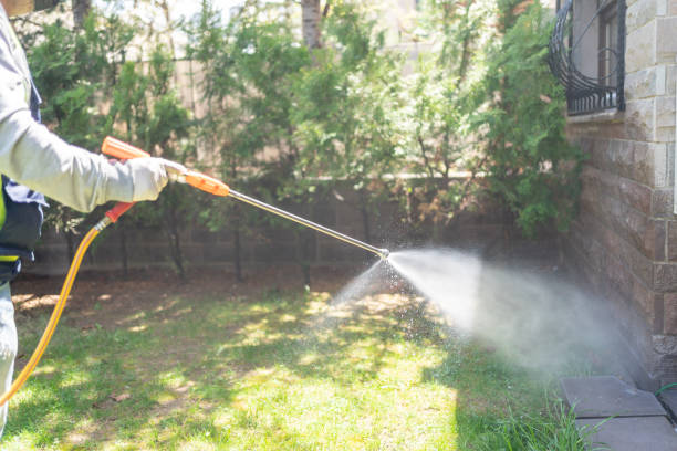 Best Local Pest Control Services  in New Brunswick, NJ