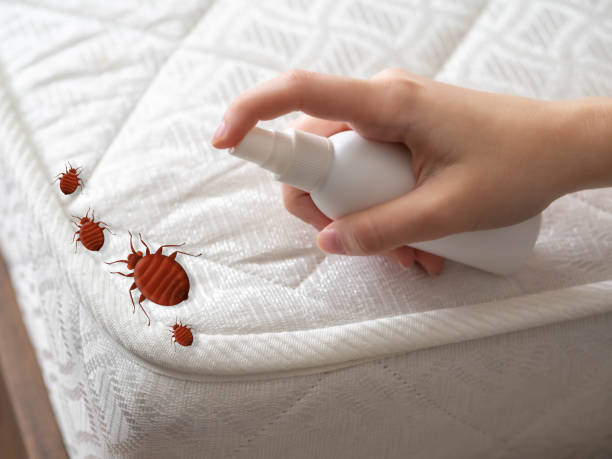 Best Residential Pest Control  in New Brunswick, NJ