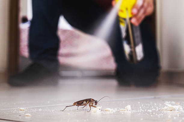 Best Pest Control Near Me  in New Brunswick, NJ