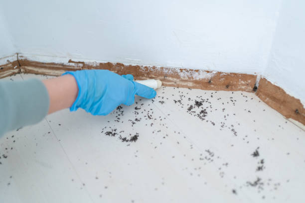 Best Pest Prevention Services  in New Brunswick, NJ
