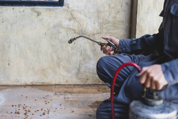 Professional Pest Control in New Brunswick, NJ