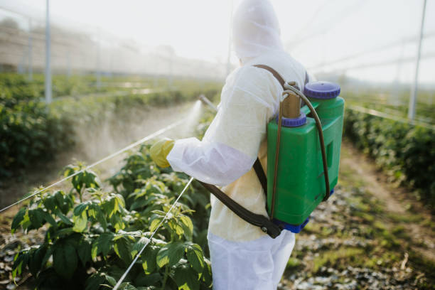 Best Commercial Pest Control Services  in New Brunswick, NJ